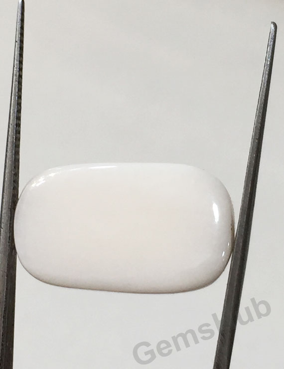 14.00 ratti/12.57 ct Natural Certified  White Coral/सफ़ेद मूंगा